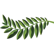 Native Woodlands, PrintReleaf, Data Matrix